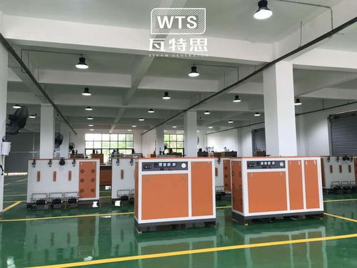 春節(jié)將至,蒸汽發(fā)生器在年糕廠高效生產(chǎn)中的作用