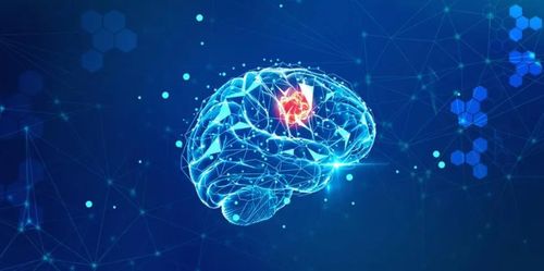 使用深度神經(jīng)網(wǎng)絡預測大腦如何處理自然聲音